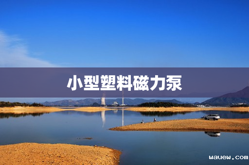 小型塑料磁力泵