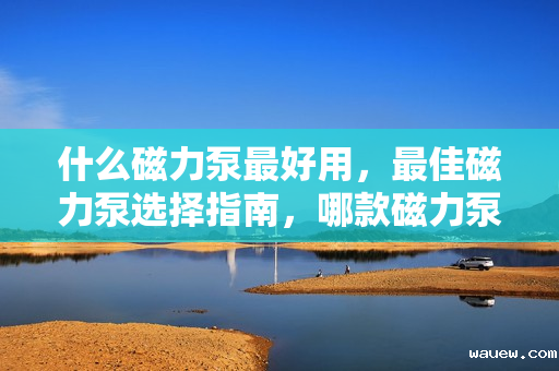 什么磁力泵最好用，最佳磁力泵选择指南，哪款磁力泵最好用？