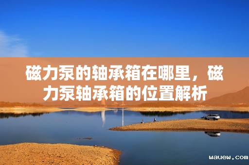 磁力泵的轴承箱在哪里，磁力泵轴承箱的位置解析