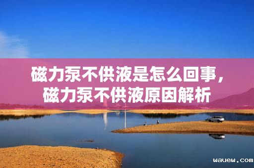 磁力泵不供液是怎么回事，磁力泵不供液原因解析