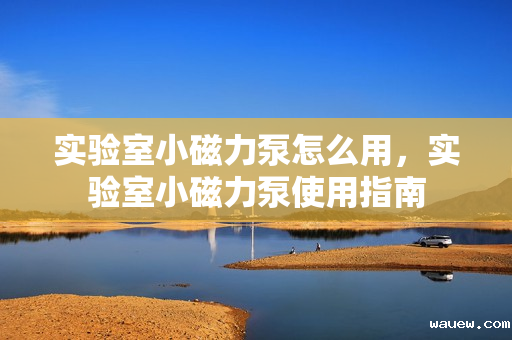 实验室小磁力泵怎么用，实验室小磁力泵使用指南