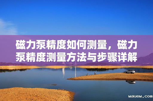磁力泵精度如何测量，磁力泵精度测量方法与步骤详解