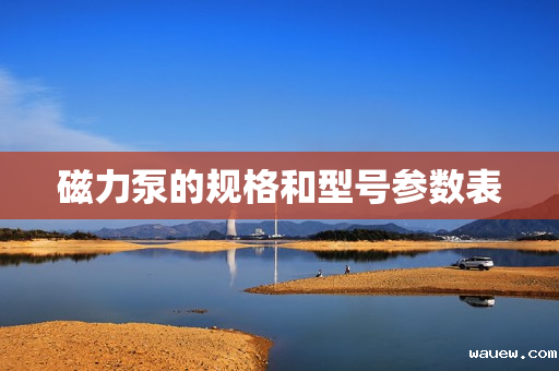 磁力泵的规格和型号参数表