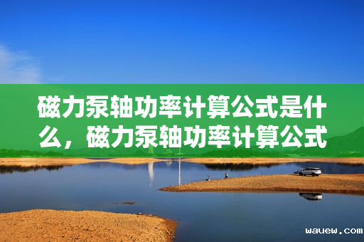 磁力泵轴功率计算公式是什么，磁力泵轴功率计算公式详解