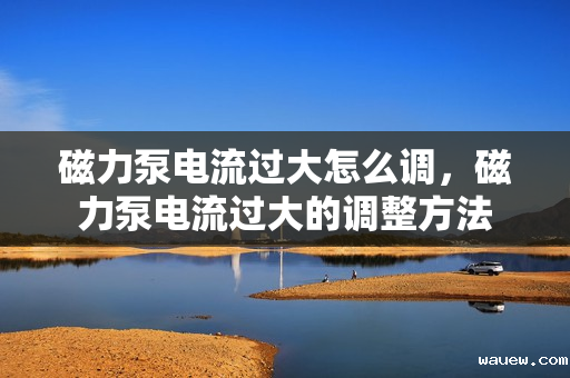 磁力泵电流过大怎么调，磁力泵电流过大的调整方法