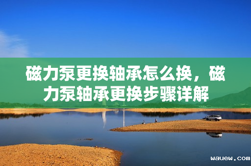 磁力泵更换轴承怎么换，磁力泵轴承更换步骤详解