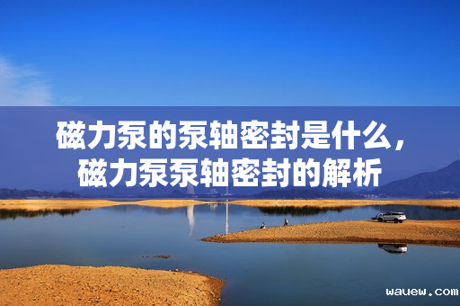 磁力泵的泵轴密封是什么，磁力泵泵轴密封的解析