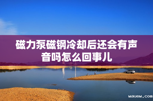 磁力泵磁钢冷却后还会有声音吗怎么回事儿