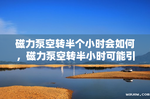 磁力泵空转半个小时会如何，磁力泵空转半小时可能引发的后果