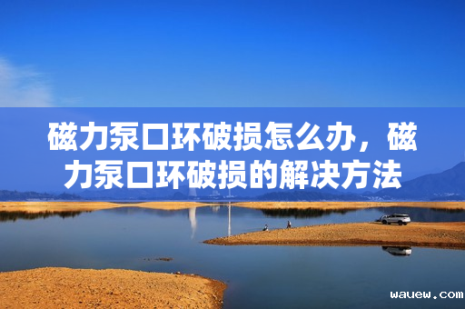 磁力泵口环破损怎么办，磁力泵口环破损的解决方法