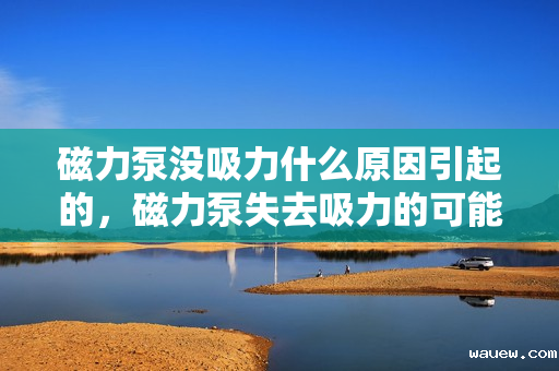 磁力泵没吸力什么原因引起的，磁力泵失去吸力的可能原因解析