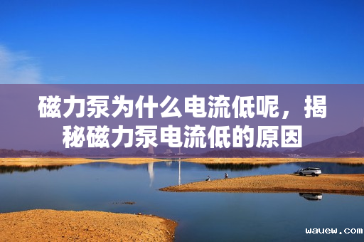 磁力泵为什么电流低呢，揭秘磁力泵电流低的原因