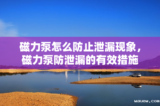 磁力泵怎么防止泄漏现象，磁力泵防泄漏的有效措施