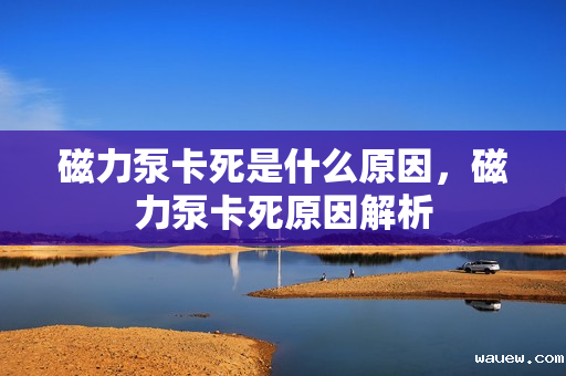 磁力泵卡死是什么原因，磁力泵卡死原因解析