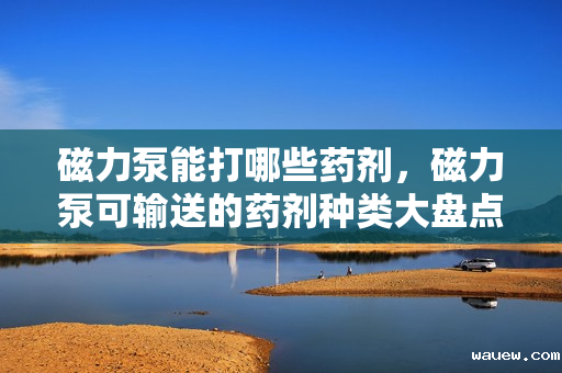 磁力泵能打哪些药剂，磁力泵可输送的药剂种类大盘点