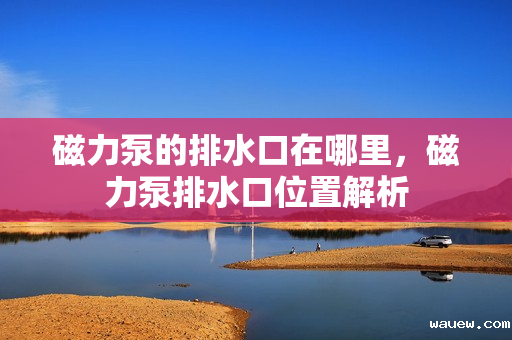 磁力泵的排水口在哪里，磁力泵排水口位置解析