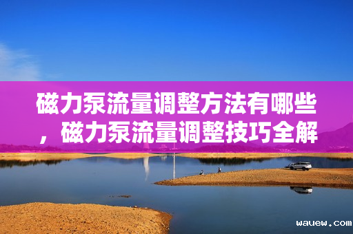 磁力泵流量调整方法有哪些，磁力泵流量调整技巧全解析