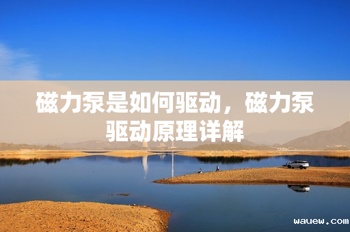 磁力泵是如何驱动，磁力泵驱动原理详解