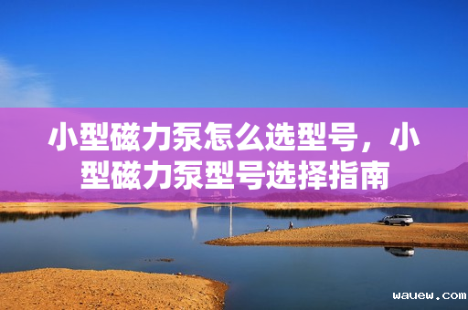 小型磁力泵怎么选型号，小型磁力泵型号选择指南