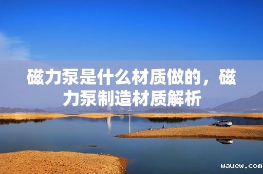 磁力泵是什么材质做的，磁力泵制造材质解析