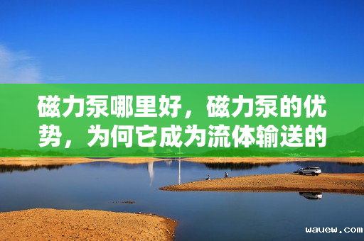 磁力泵哪里好，磁力泵的优势，为何它成为流体输送的首选？