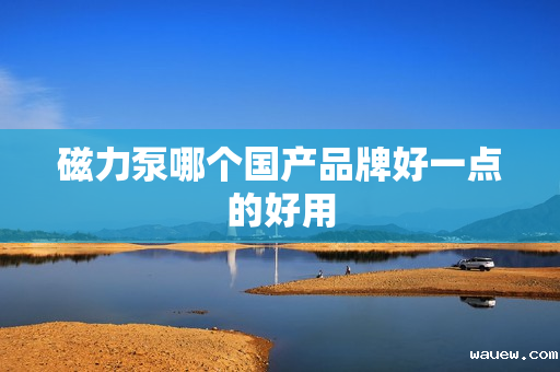 磁力泵哪个国产品牌好一点的好用