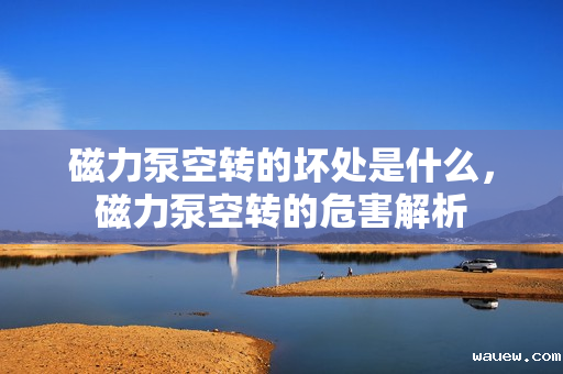 磁力泵空转的坏处是什么，磁力泵空转的危害解析