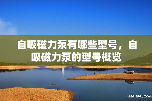 自吸磁力泵有哪些型号，自吸磁力泵的型号概览