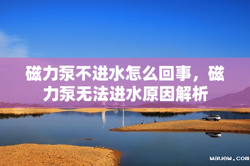 磁力泵不进水怎么回事，磁力泵无法进水原因解析