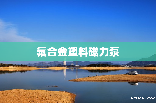 氟合金塑料磁力泵