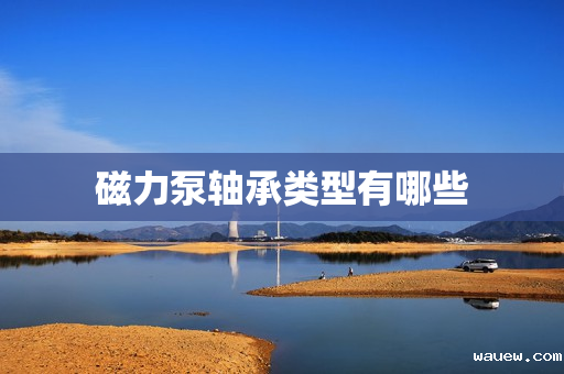 磁力泵轴承类型有哪些