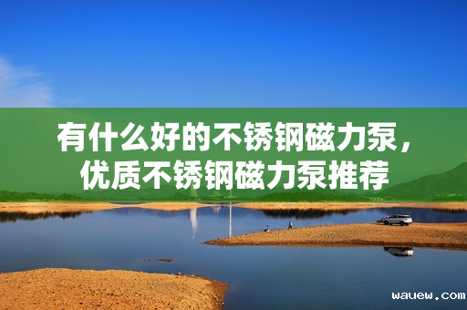 有什么好的不锈钢磁力泵，优质不锈钢磁力泵推荐