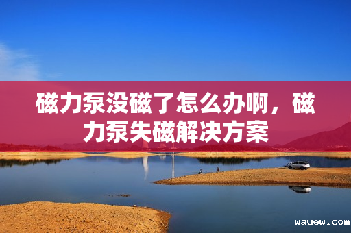 磁力泵没磁了怎么办啊，磁力泵失磁解决方案