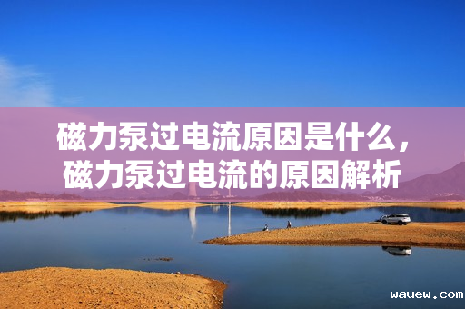磁力泵过电流原因是什么，磁力泵过电流的原因解析