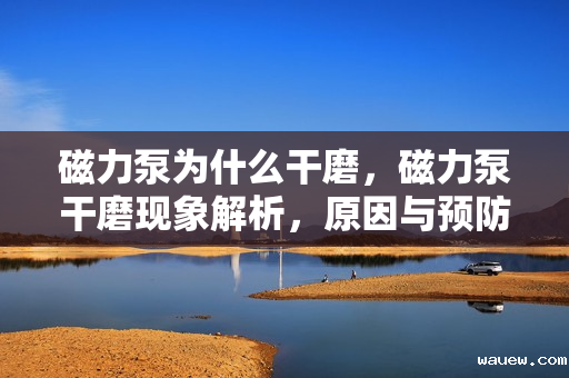 磁力泵为什么干磨，磁力泵干磨现象解析，原因与预防措施