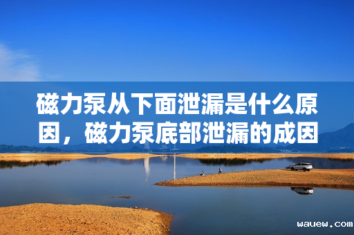 磁力泵从下面泄漏是什么原因，磁力泵底部泄漏的成因解析