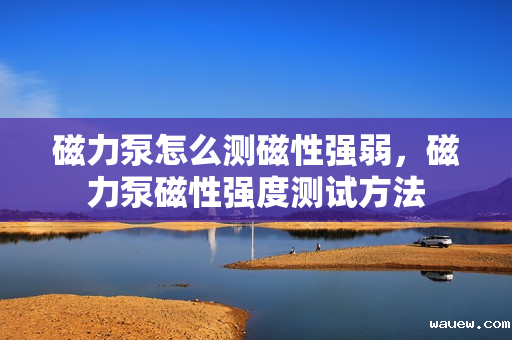 磁力泵怎么测磁性强弱，磁力泵磁性强度测试方法