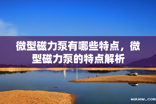 微型磁力泵有哪些特点，微型磁力泵的特点解析