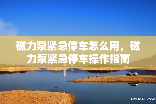 磁力泵紧急停车怎么用，磁力泵紧急停车操作指南