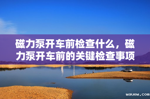 磁力泵开车前检查什么，磁力泵开车前的关键检查事项