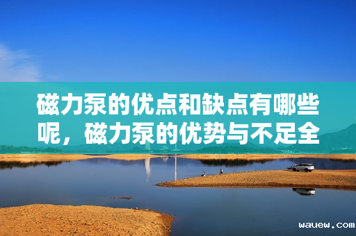 磁力泵的优点和缺点有哪些呢，磁力泵的优势与不足全面解析