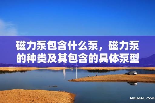 磁力泵包含什么泵，磁力泵的种类及其包含的具体泵型