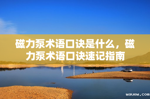 磁力泵术语口诀是什么，磁力泵术语口诀速记指南