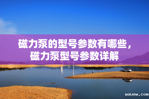 磁力泵的型号参数有哪些，磁力泵型号参数详解