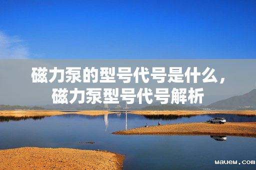 磁力泵的型号代号是什么，磁力泵型号代号解析