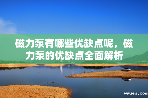 磁力泵有哪些优缺点呢，磁力泵的优缺点全面解析