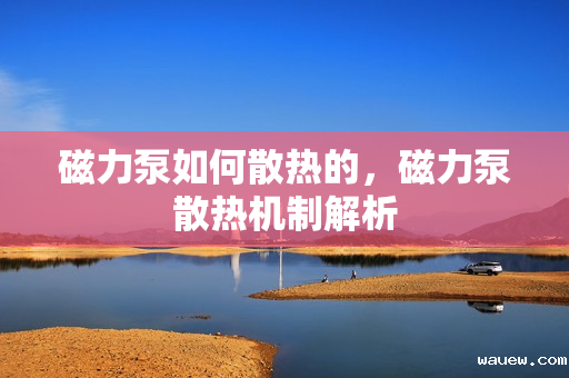 磁力泵如何散热的，磁力泵散热机制解析