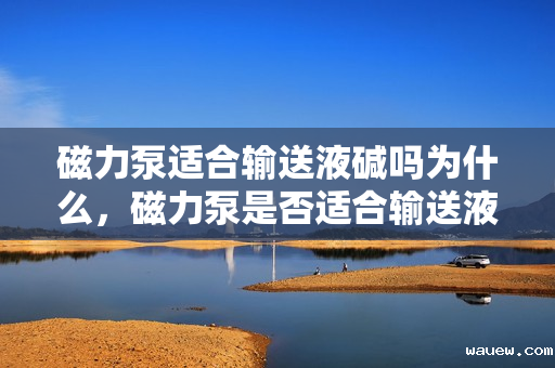 磁力泵适合输送液碱吗为什么，磁力泵是否适合输送液碱及其原因解析