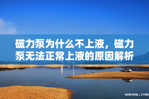 磁力泵为什么不上液，磁力泵无法正常上液的原因解析