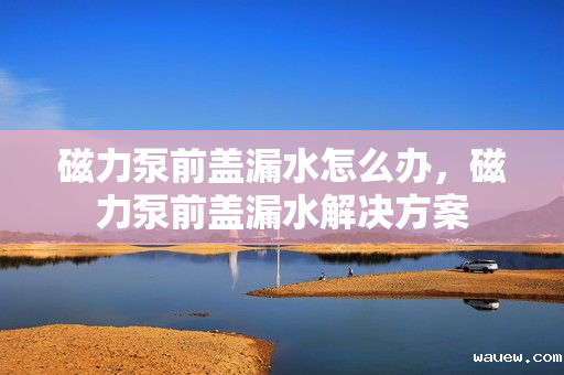 磁力泵前盖漏水怎么办，磁力泵前盖漏水解决方案